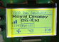 180X100 módulo gráfico FSTN STN ISO positivo del LCD del DIENTE del punto RYG180100A