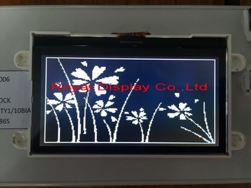 Tipo gráfico RYG19264B del módulo DFSTN LCD del LCD del DIENTE estándar tamaño pequeño 