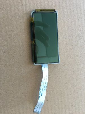 el carácter positivo de la MAZORCA de 256X128 FSTN exhibe el conector S1D13700 de FFC