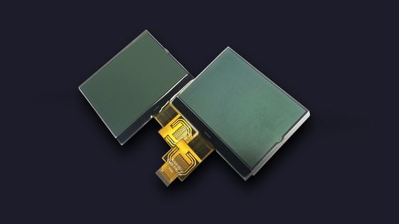 El segmento positivo de FSTN UC1698 LCD 7 exhibe el módulo gráfico del LCD del diente 160X160