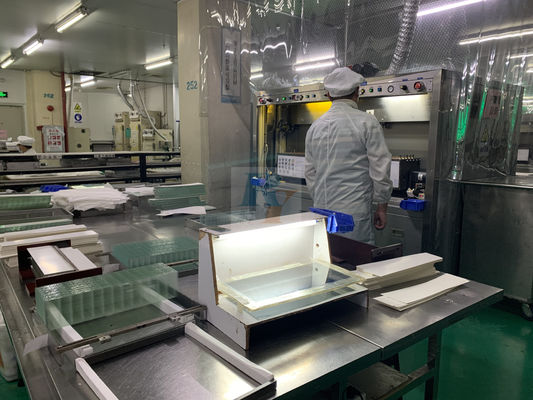 panel LCD transmisivo de la MAZORCA del panel LCD RYD2017VV01 del SGS VA del paralelo 60mA