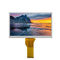 Panel LCD 1.90W 7,0&quot; del alto brillo del panel LCD LVDS 1024x600 del alto brillo TFT