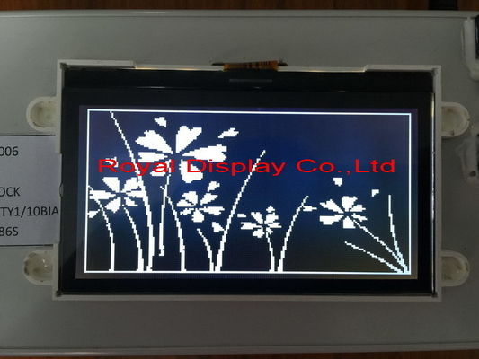 el carácter STN LCD de la resolución 192X64 exhibe la exhibición de encargo positiva de Transflective LCD en existencia