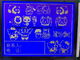 Mono exhibición de Stn Gray Graphic LCD del diente 160X160 para el instrumento eléctrico Blacklight RA8835 LCD
